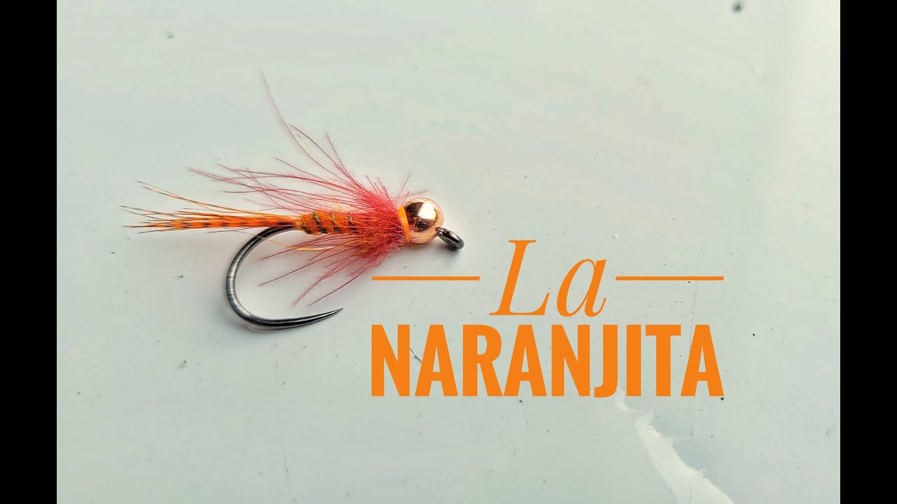 Atado de mosca 