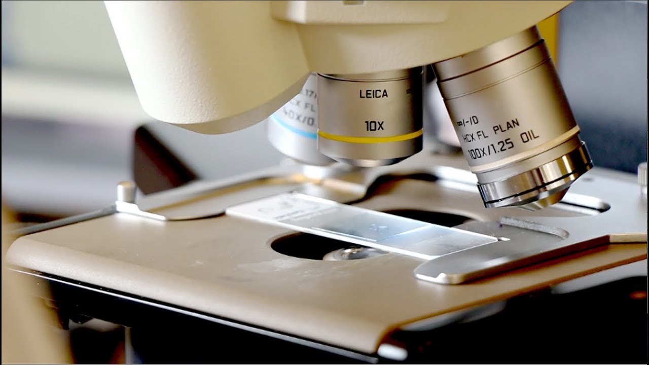 Leica Biosystems Customer Interviews