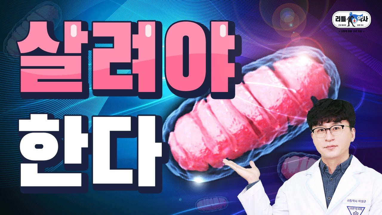 간헐적 단식 영양제 | 세포 속부터 살리는 영양소 feat.오토파지, 간헐적 단식