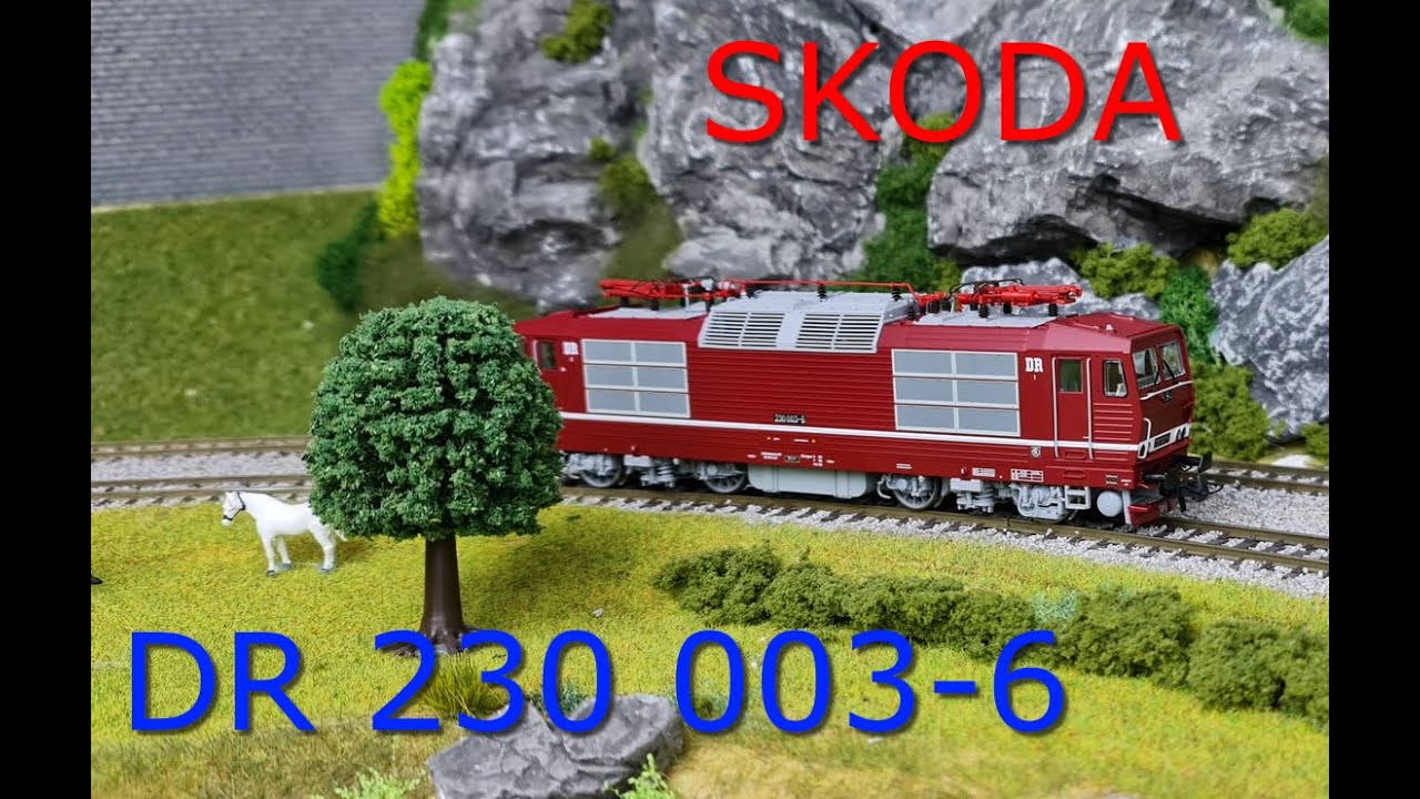 DR 230 ROCO + Vindobona D 375