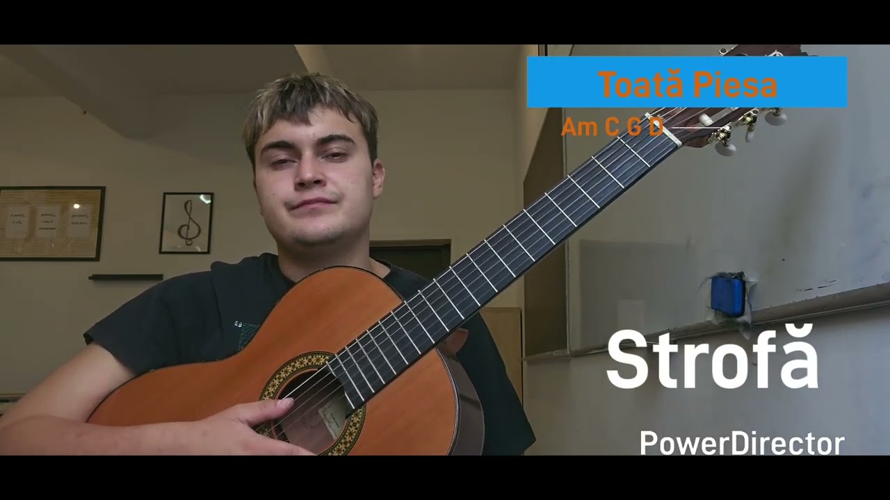 Acasă- Smiley Tutorial la Chitara by Laurențiu Ciupila Chitara 