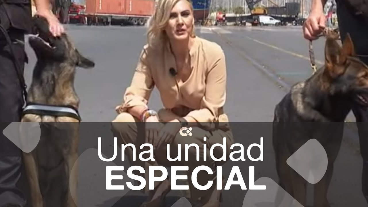 La conexión agente y perro, fundamental para el éxito de los operativos