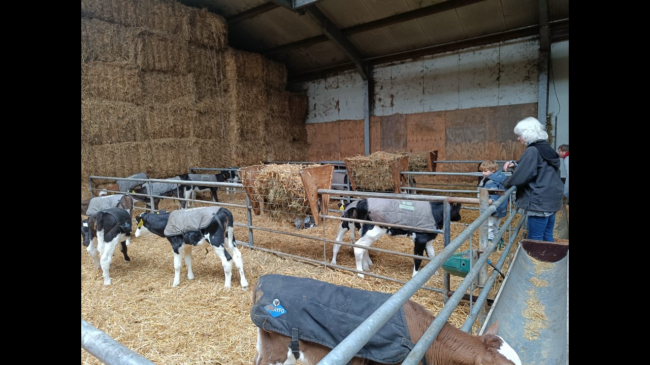 Veel belangstelling voor kraambezoek bij Bio-boerderij Landleven in Onstwedde