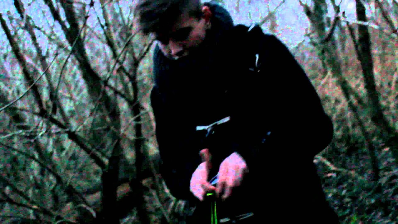 Pupek 2012