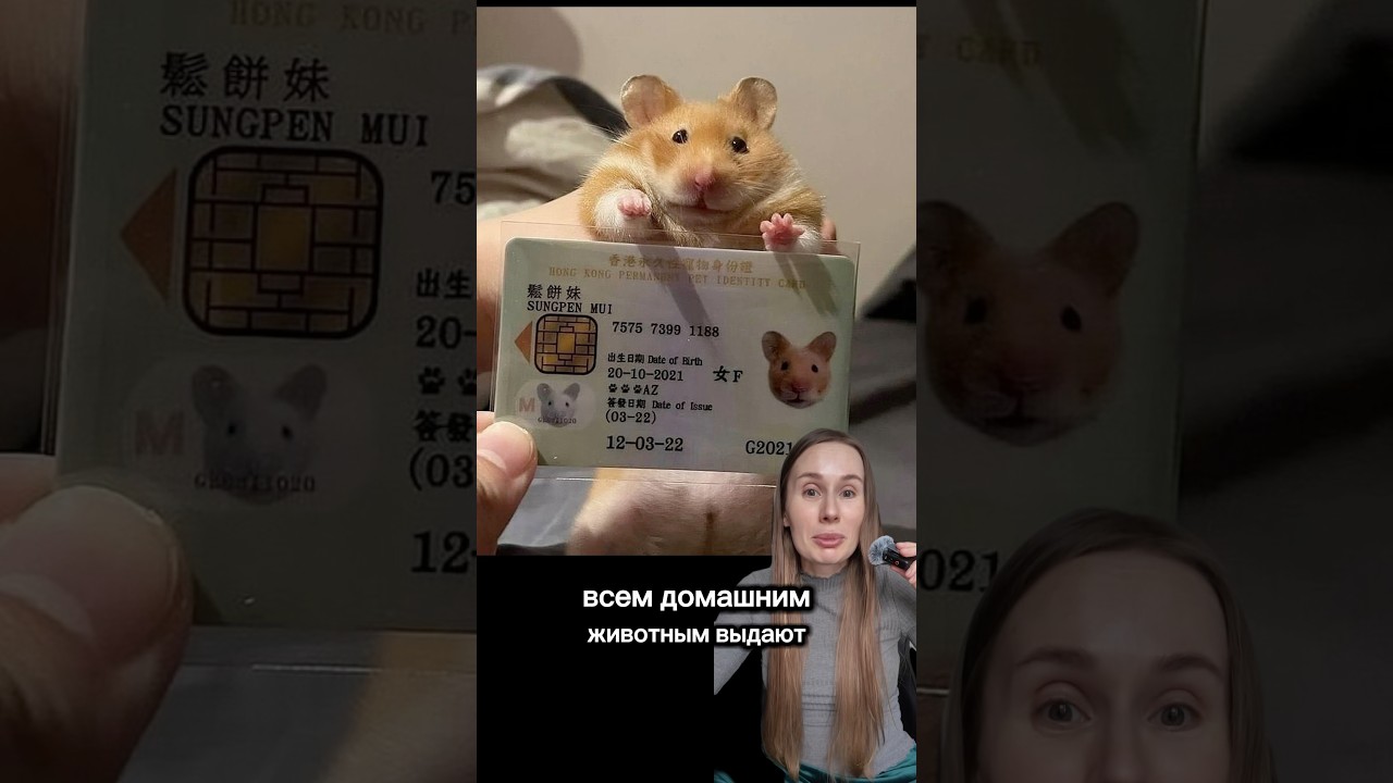 ВАЖНЫЙ ХОМЯК С ПАСПОРТОМ, ДОКУМЕНТЫ ДЛЯ ЖИВОТНЫХ