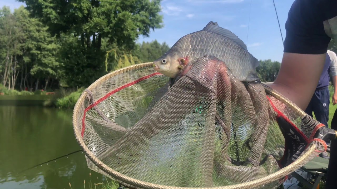 Wspólny Wypad na Method Feeder z Danielem na Wodnym Eldorado