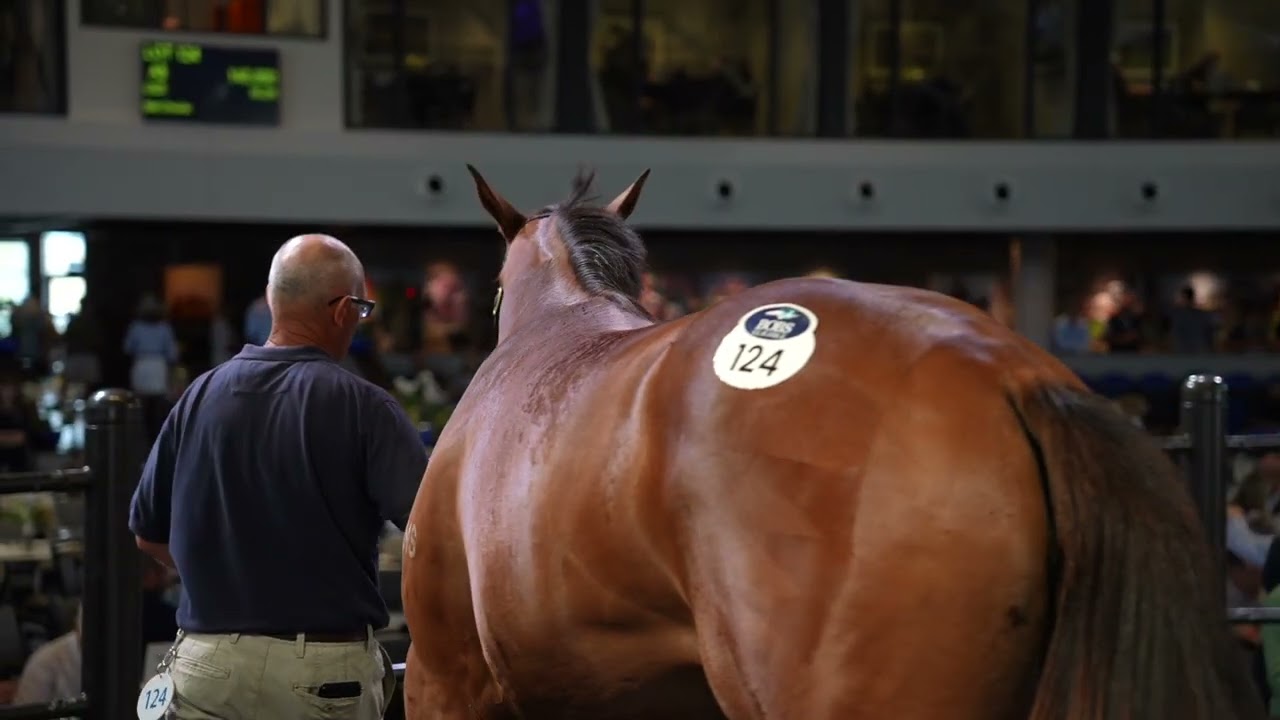 Lot 124 Too Darn Hot x Lady Sioux