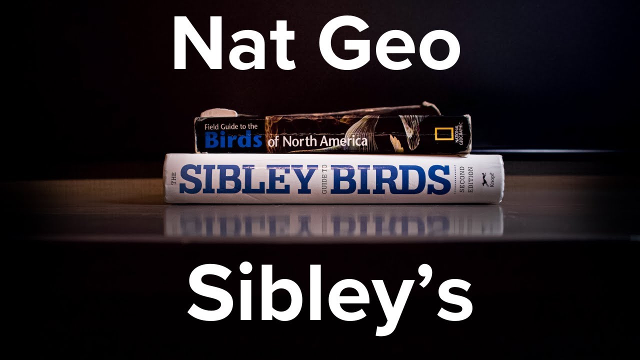 Which Field Guide is the BEST for Birding?