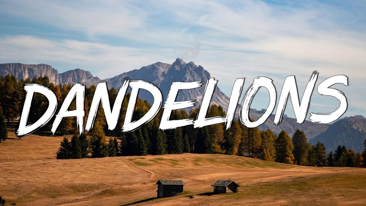 Dandelions - Ruth B. (Lyrics) || Shawn Mendes, Calvin Harris, Dua Lipa... (MixLyrics)