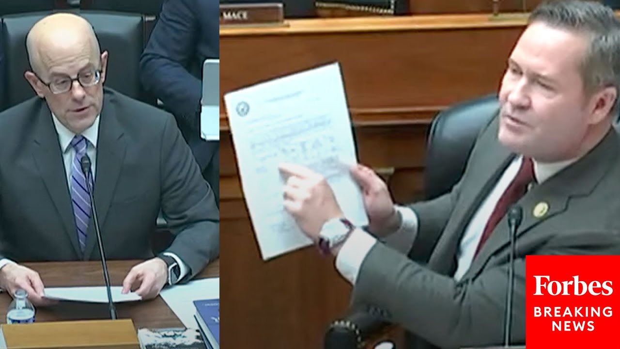 'In This Chart Which You Said Doesn't Exist!': Michael Waltz Has Tense Exchange With Witness On DEI