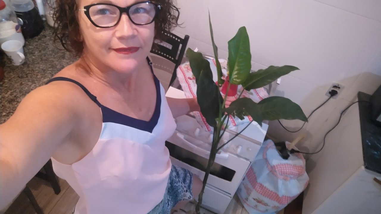 Vlog da minha manhã, como essa planta cresceu!