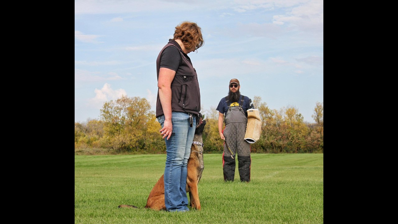 From Corporate to Canine: A Trainer's Transformation with Julia Major