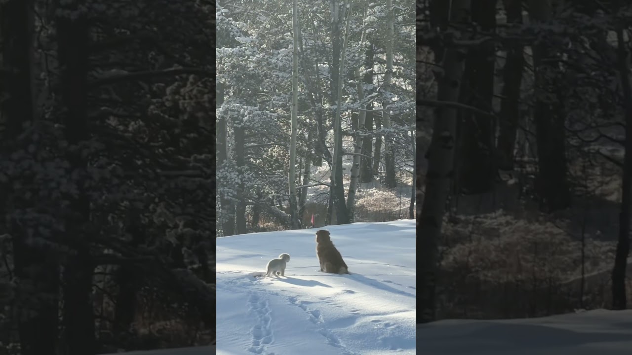 Standing watch with a new visitor. 
