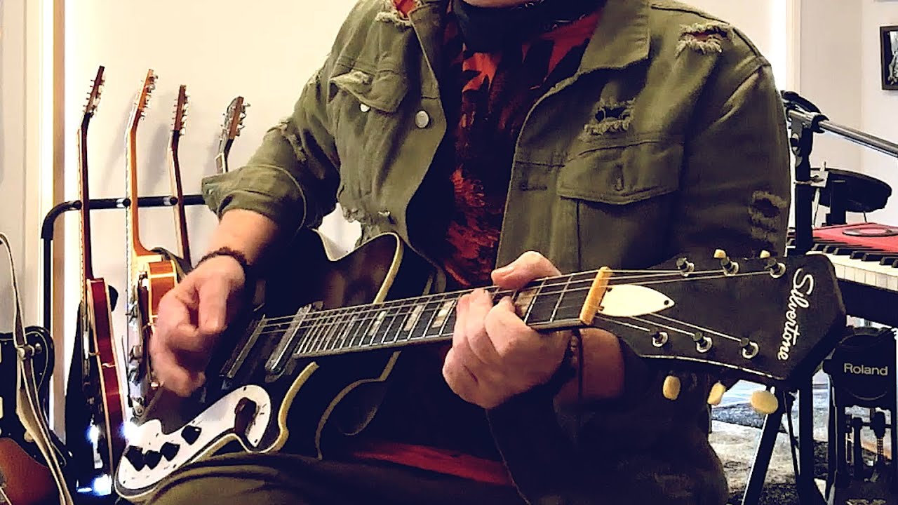 Vintage 1960s Silvertone - (The Beautiful People)
