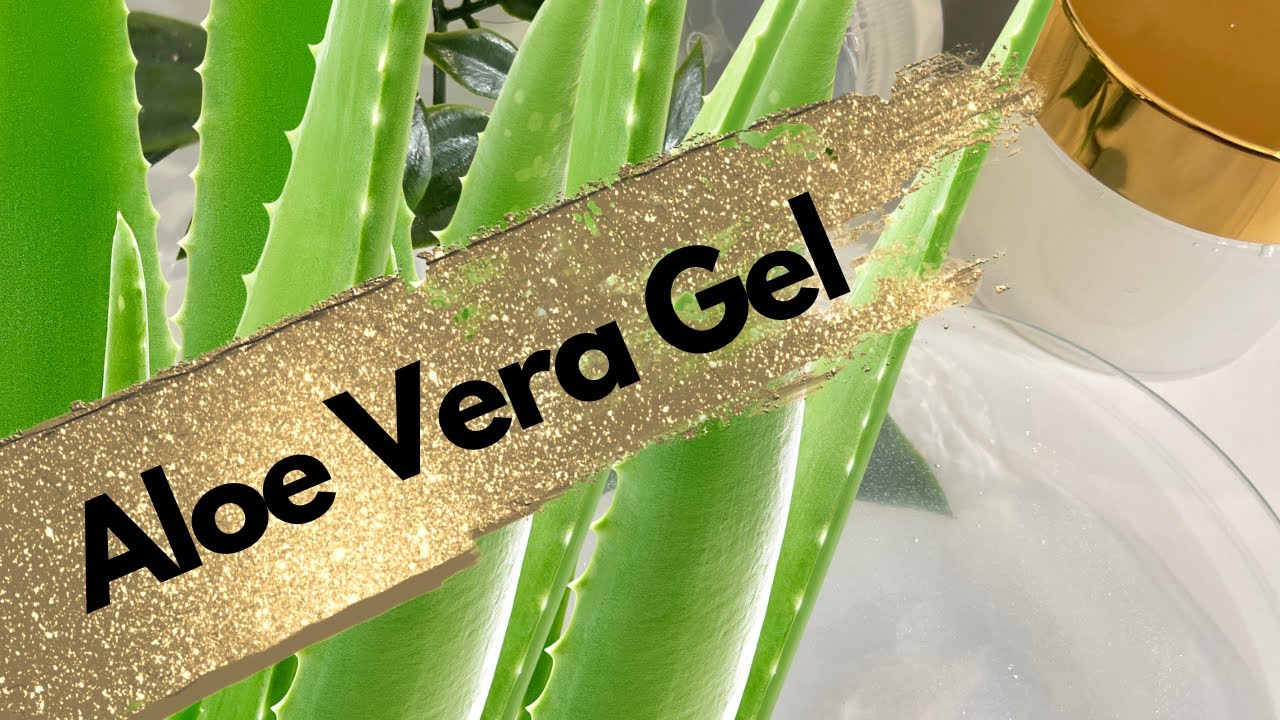 How to make Aloe Vera Gel | free recipe | beginners formula