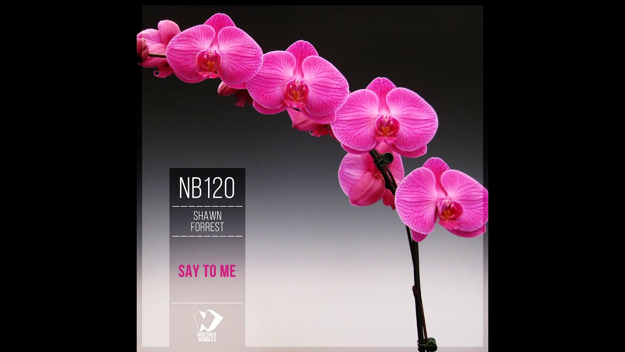 Shawn Forrest - Say to Me (Original Mix) Best Chillout 2019