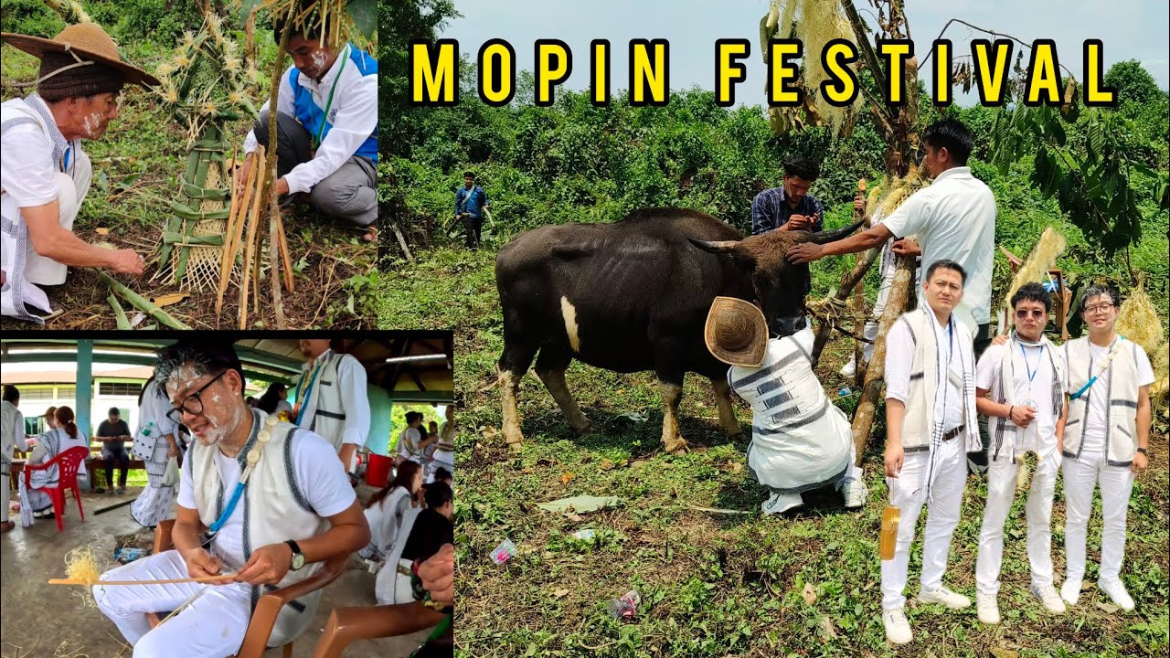 This is How Mopin Festival is Celebrated // Arunachal Pradesh.