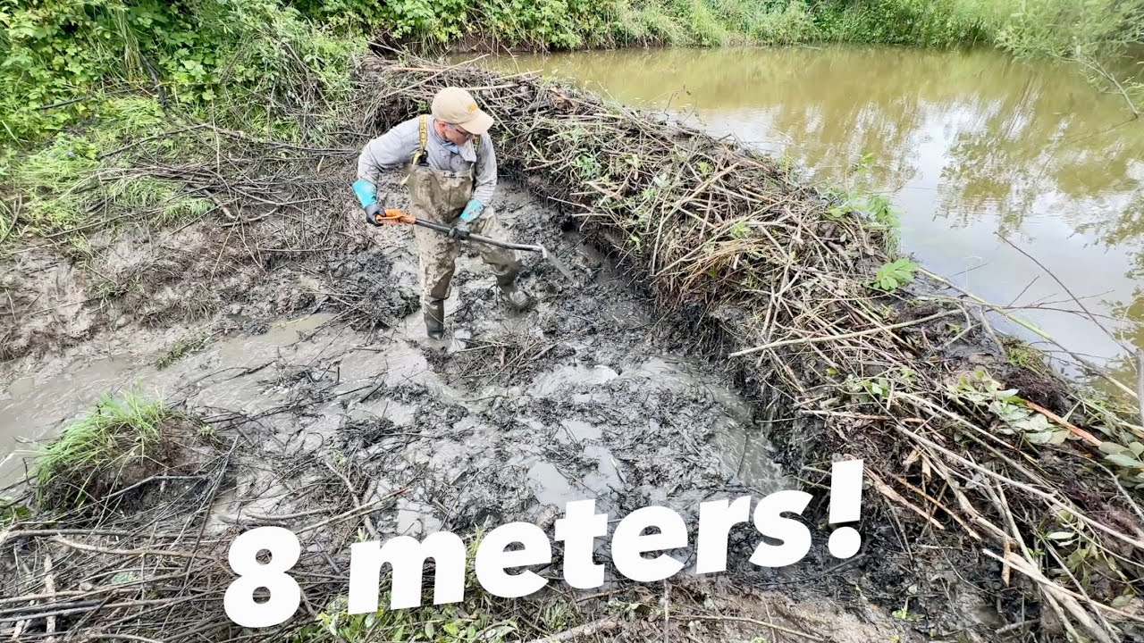 Beaver Dam Break Causes Shocking Flash Flood!  TOP 3