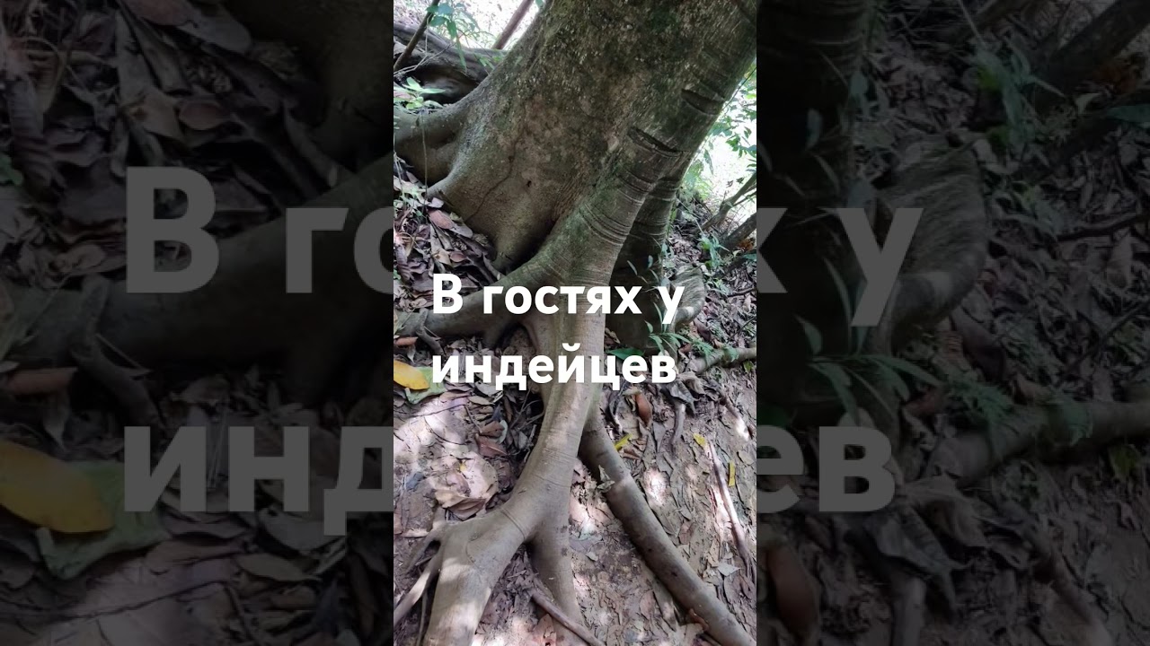 В гостях у индейцев. Племя Эмбера, Центральная Латинская Америка.