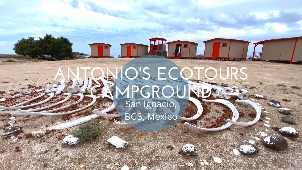 Antonio's Ecotours Campground & Whale Watching Coastline - San Ignacio BCS, Mexico