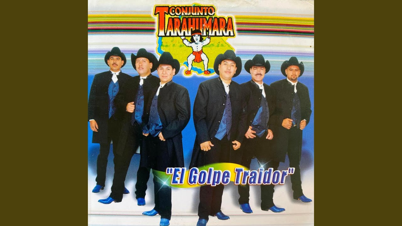 Gaviota Traidora
