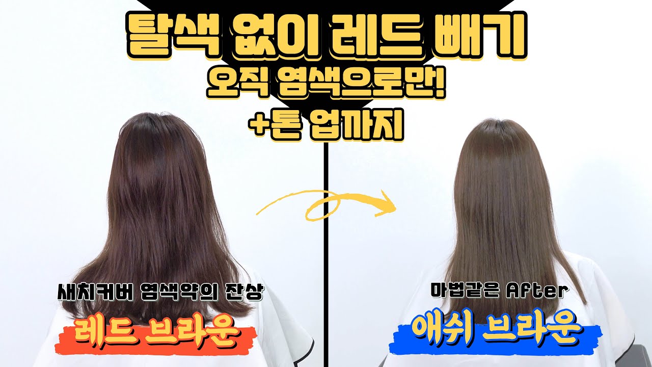 본격 탈색 없이 염색으로만 레드 빼기! 새치커버 잔류색소 완전 제거하는 레시피 [탈색 없는 염색, 애쉬 브라운]