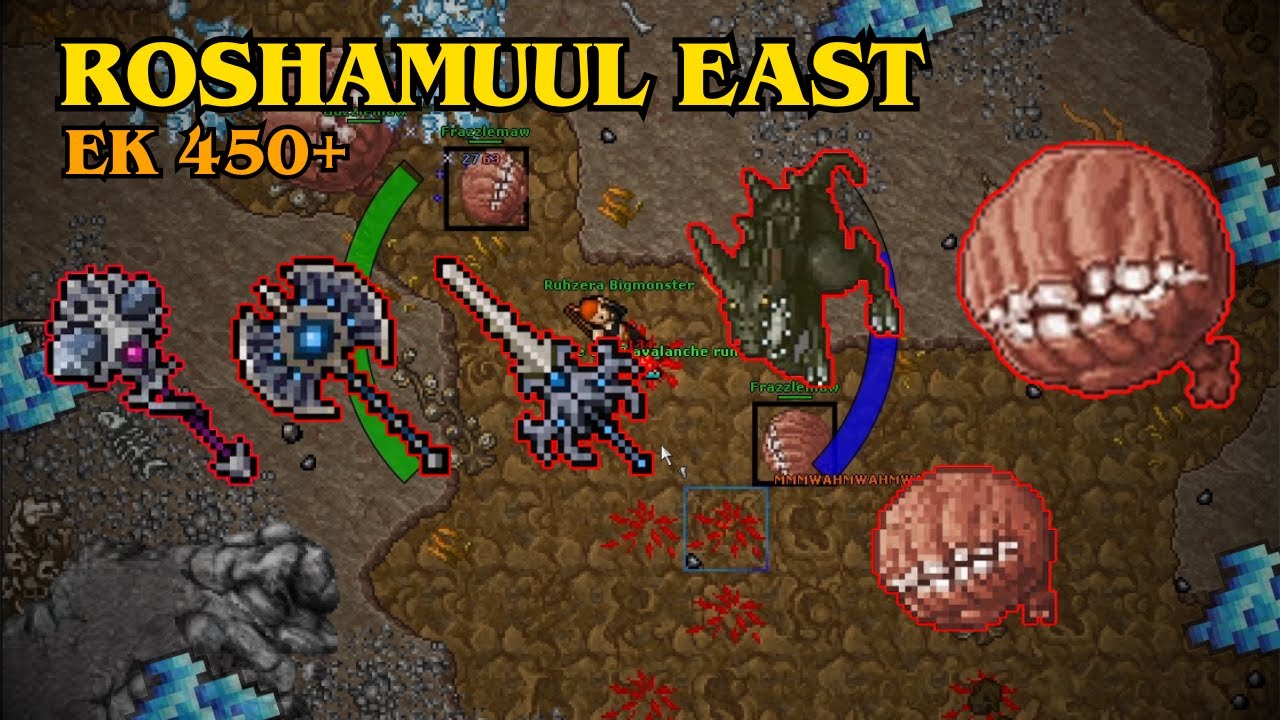 TIBIA - EK 467 | ROSHAMUUL EAST | 4.8KK RAW + 1KK PROFIT