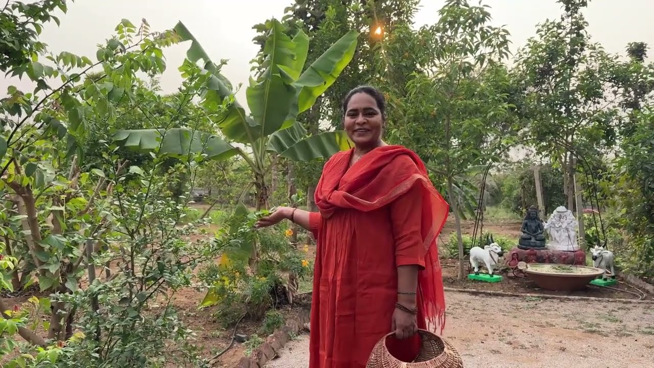 Let's harvest flowers and fruits in our farm for the Ugadi festival...come...