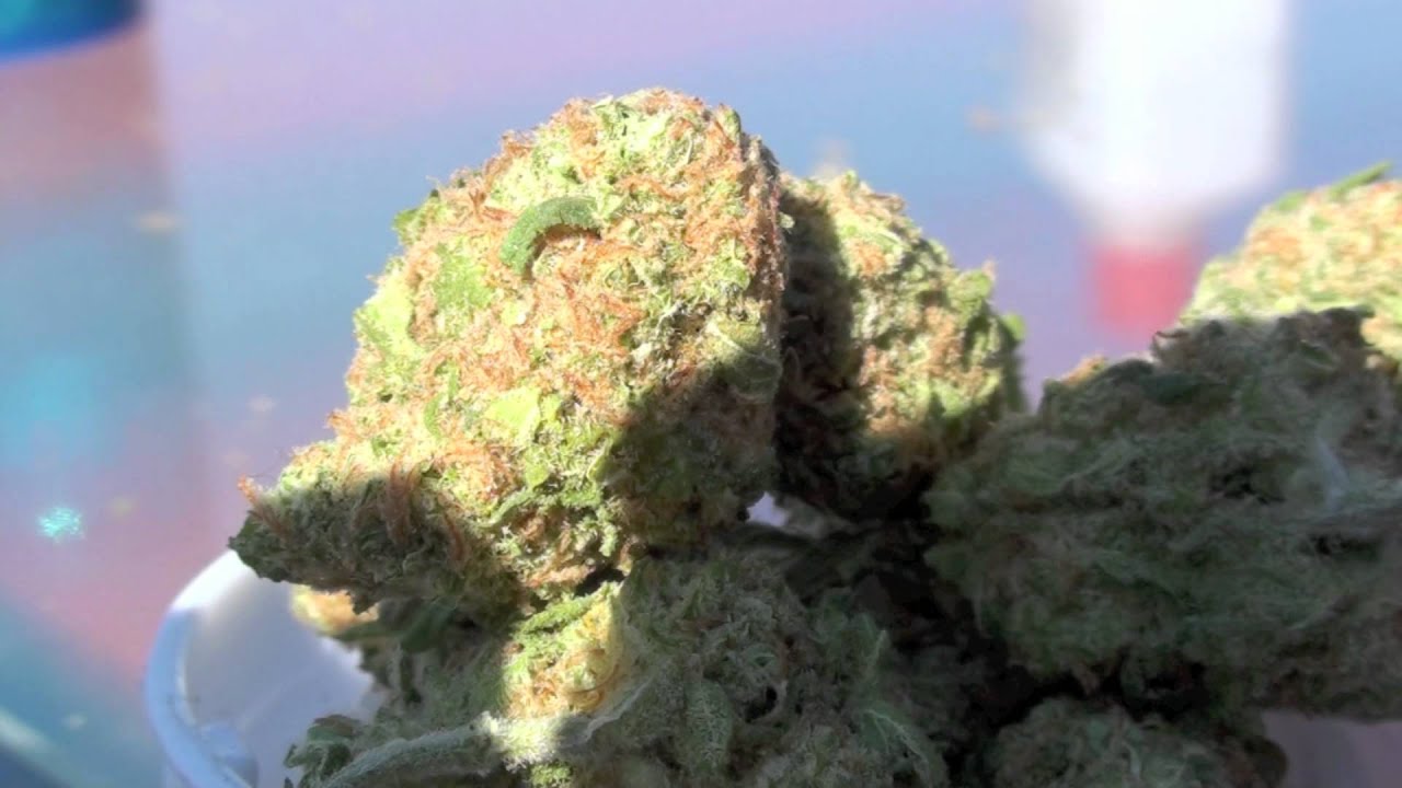 OG KUSH - CHURCH OG WEED REVIEW ( 1080p HD ) - TOP SHELF OG