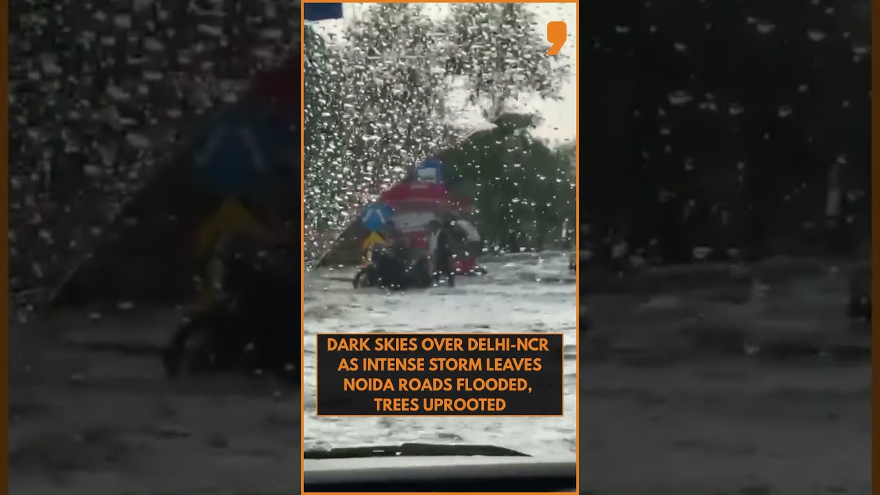 Delhi-NCR Hit by Heavy Rain & Strong Winds | Roads Flooded, Trees Uprooted in Noida