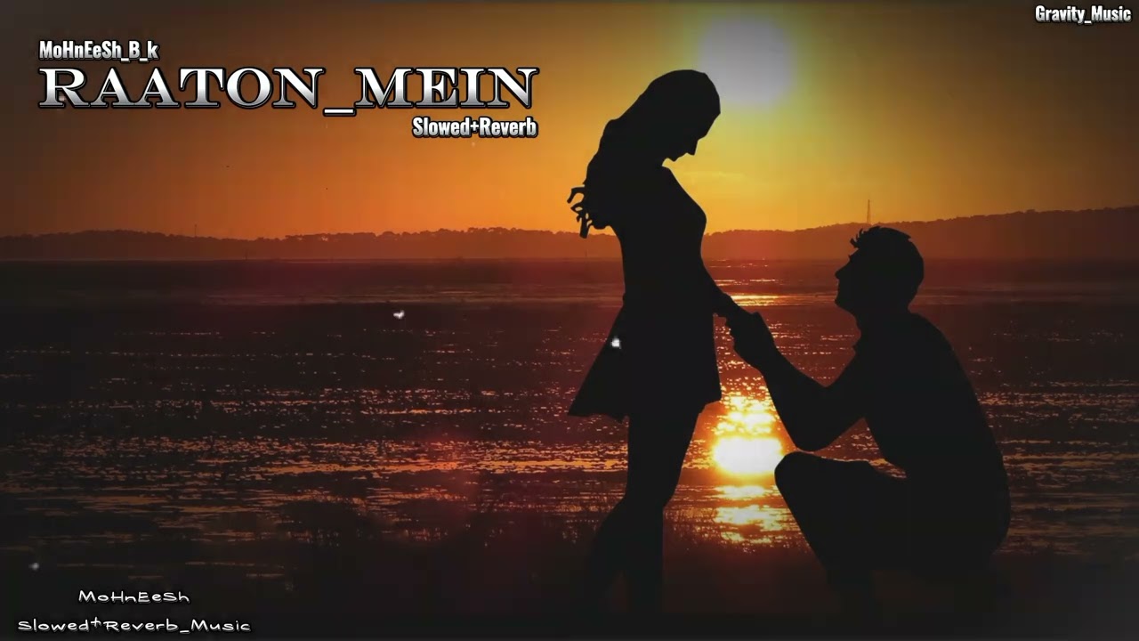 Raaton Mein_Gravity New Slowed Reverb Music_@MsEditor535
