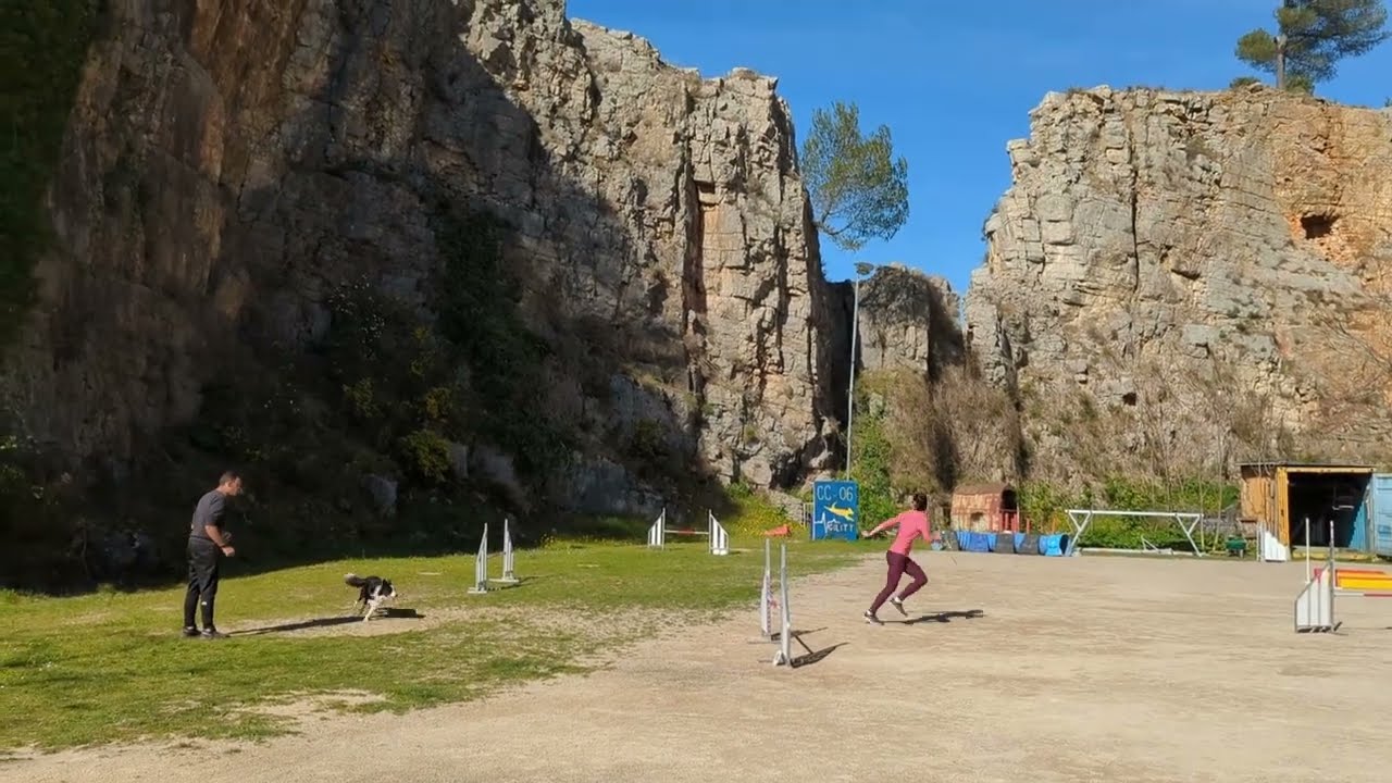 Link agility training with Thomas April 9th and 10th 2023