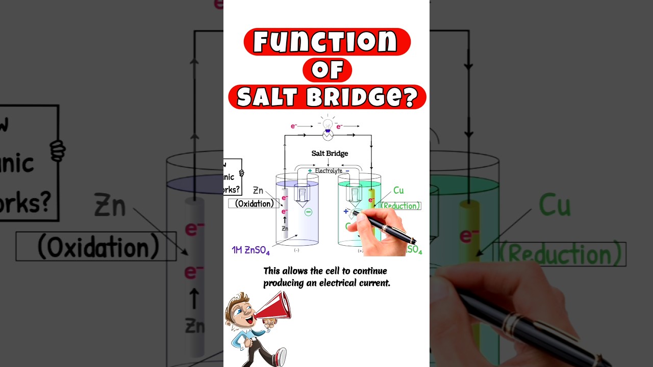 Function of Salt Bridge #salt #bridge #galvaniccell #function #electrochemistry #shortvideo #shorts