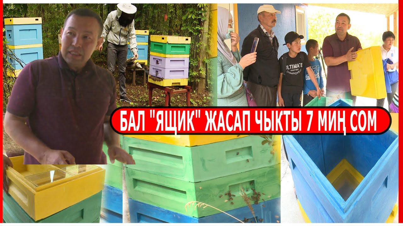 ИШКЕР ПЛАСТИКАДАН КУЮЛГАН БАЛ 
