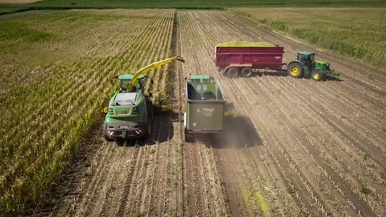 Kukorica silózás 2022-JohnDeere 8400