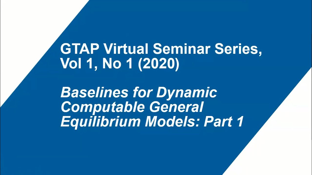 Baselines for Dynamic Computable General Equilibrium Models: Part 1