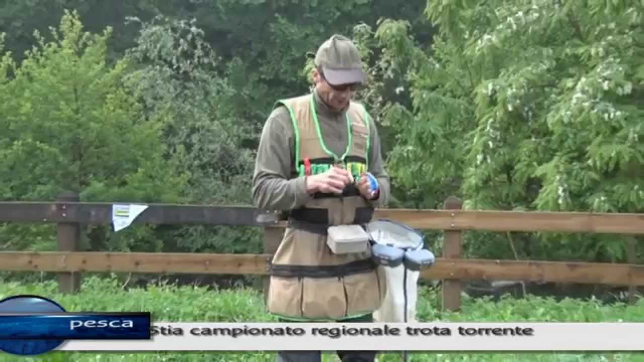 Stia: gara regionale di pesca alla trota in torrente
