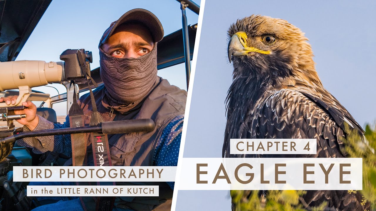 Bird Photography in the Little Rann of Kutch | DESERTS OF INDIA Chapter 4 - EAGLE EYE