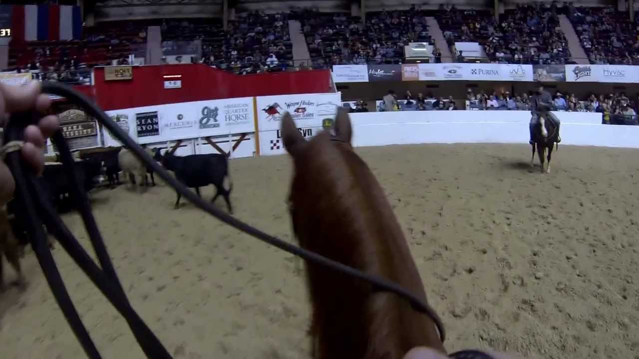 Hal Brown's Celebrity Cutting 2012 (GoPro Perspective)