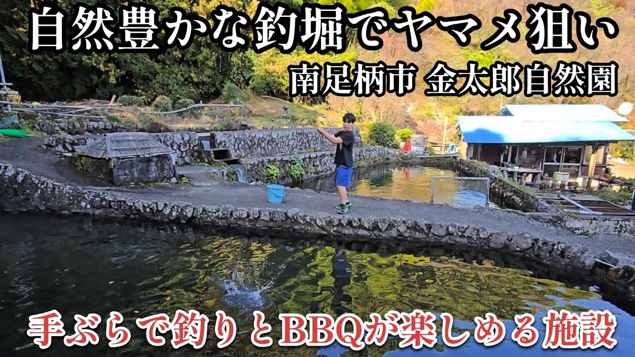 【南足柄市金太郎自然園】自然を満喫できる釣り堀でヤマメ釣り  手ぶらでOK！