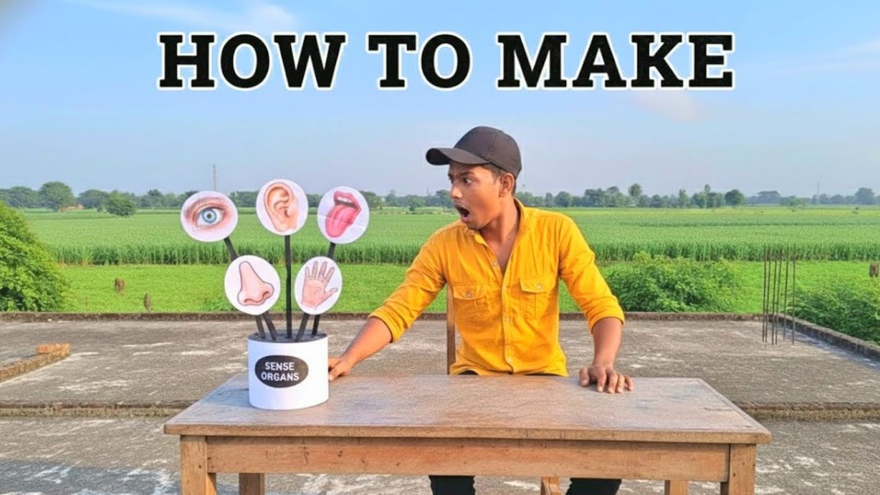 How to make sense organs model for school project | sense organ model making idea |