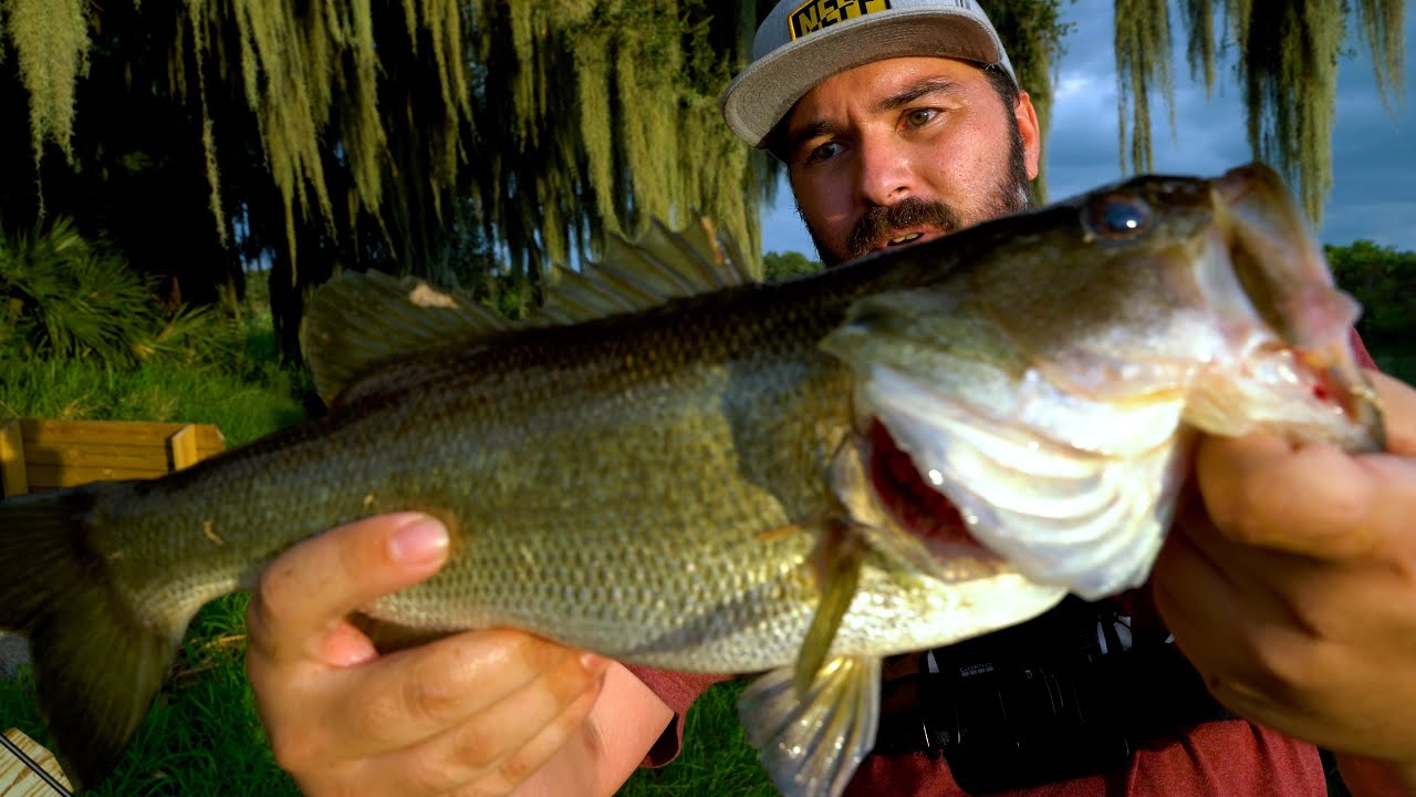 Gonzo Goes Fishing Episode 8 