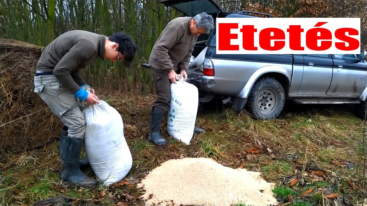 ETETÉS (kisfilm)