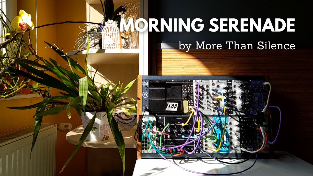 Morning Serenade: Moody Modular Synth Exploration | 2hp Pluck, Ladik Composer N, Monsoon