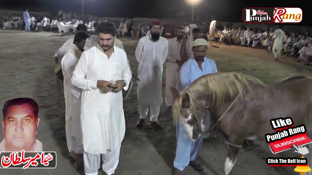 All Pakistan best hore dance Meerik Sial Shorkot Day 1st 2019 Adhar Dhamal  12
