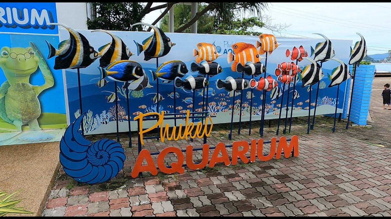 [4K] Phuket Aquarium (Cape Panwa) bonus vid
