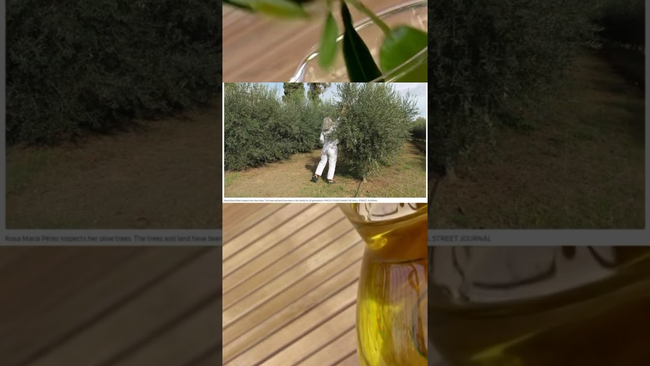 Olive Oil Frenzy 🫒 #foryou #news #money #finance #stocks #economy #investing #europe #world