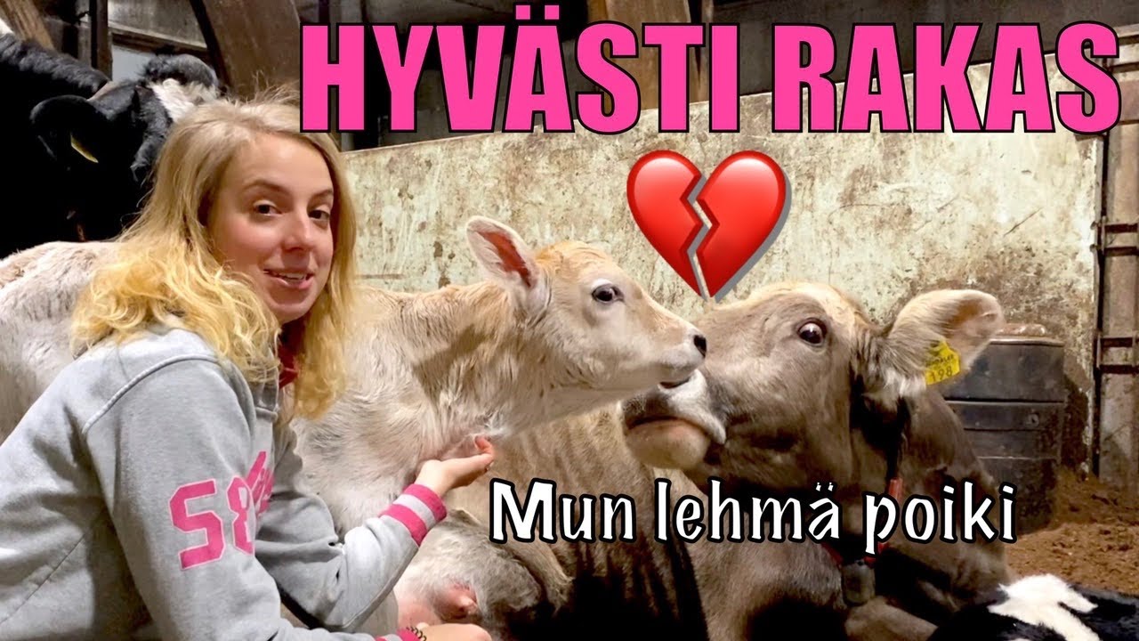 Surullinen uutinen + Keisalan tilan uutiset 18