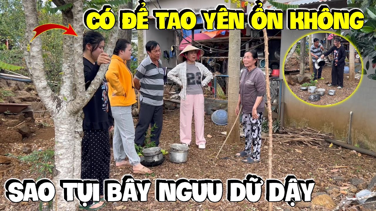 Bắp Báo 