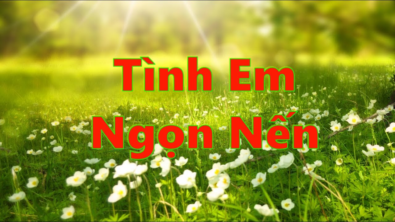 Tình Em Ngọn Nến Piano Solo